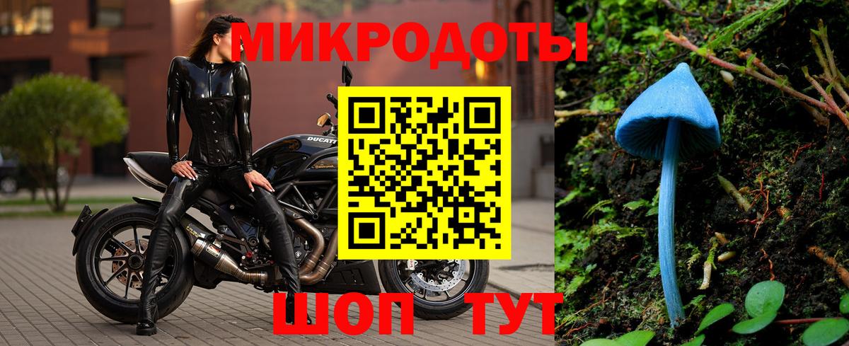 Галлюциногенные грибы мухоморы Великие Луки